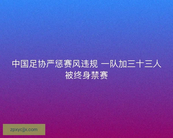 中国足协严惩赛风违规 一队加三十三人被终身禁赛